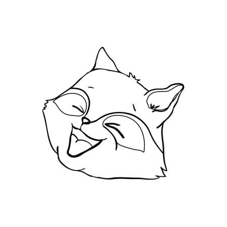 Raccoon Face Vector Illustration. Raccoon Head Isolated On White Backgroundのイラスト素材