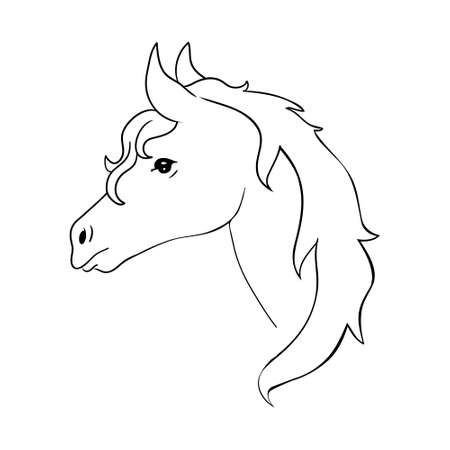 Sketch realistic vector illustration of a horse portrait, horse portrait on a white background. vector illustrationのイラスト素材