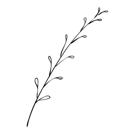 Sketch a leaf branch by hand on an isolated background. Vector, illustrationのイラスト素材