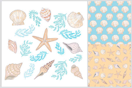 A set of marine and marine seamless patterns in orange and blue. Vector illustration.の写真素材