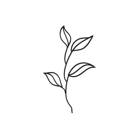 Sketch a leaf branch by hand on an isolated background. Vector, illustrationのイラスト素材