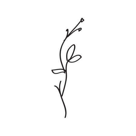 Sketch a leaf branch by hand on an isolated background. Vector, illustrationのイラスト素材