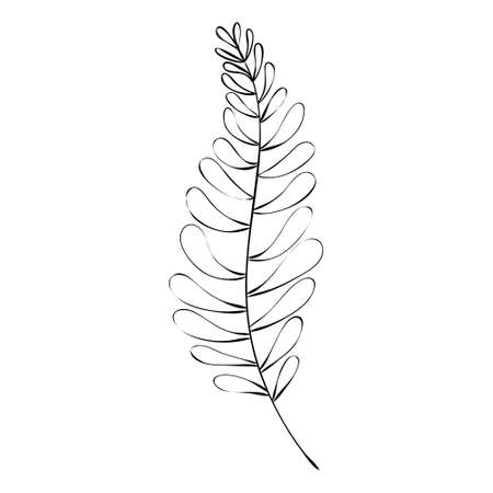 Sketch a leaf branch by hand on an isolated background. Vector, illustrationのイラスト素材