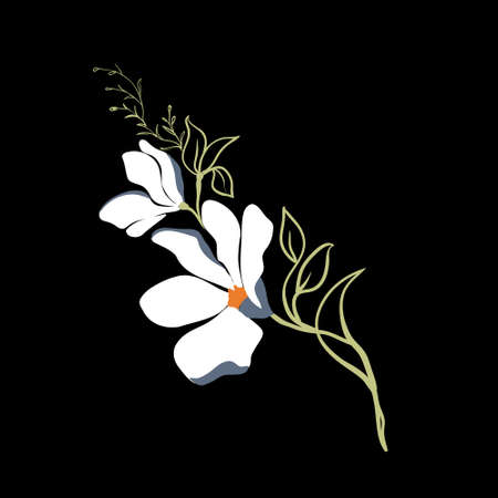 Magnolia flowers. Beautiful spring illustration. Vector, illustration.のイラスト素材