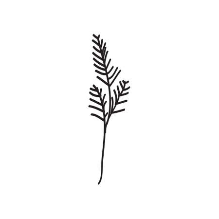 Sketch a leaf branch by hand on an isolated background. Vector, illustrationのイラスト素材