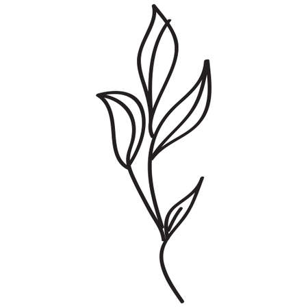 Sketch a leaf branch by hand on an isolated background. Vector, illustrationのイラスト素材