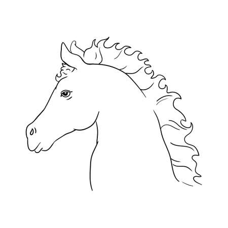 Sketch realistic vector illustration of a horse portrait, horse portrait on a white background. vector illustrationのイラスト素材