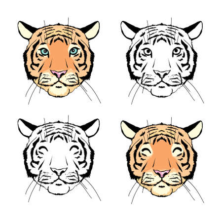 Tiger head. Hand drawn decorative vector illustration. Color and outline set on a white background.のイラスト素材