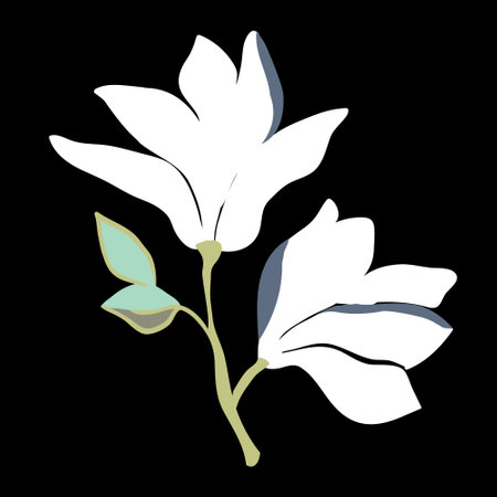 Magnolia flowers. Beautiful spring illustration. Vector, illustration.のイラスト素材