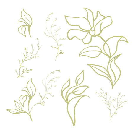 Magnolia flowers. Beautiful spring illustration. Vector, illustration.のイラスト素材