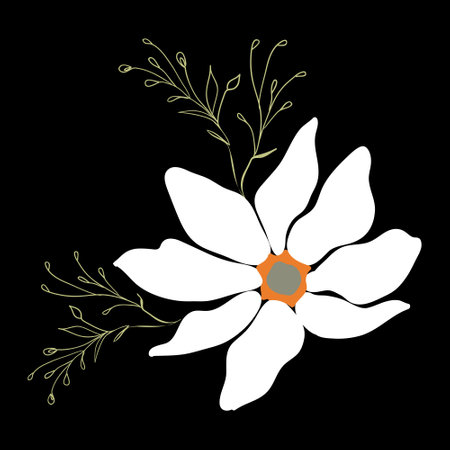 Magnolia flowers. Beautiful spring illustration. Vector, illustration.のイラスト素材