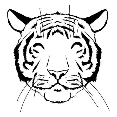 Tiger head. Cartoon front face of aggressive king of beasts, symbols of hunting trophy, vector illustration of majestic jungle animal isolated on white backgroundのイラスト素材