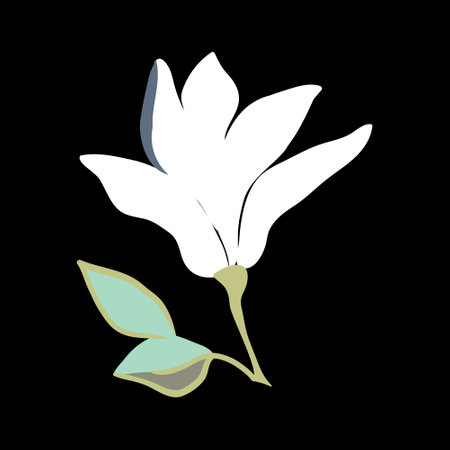 Magnolia flowers. Beautiful spring illustration. Vector, illustration.のイラスト素材