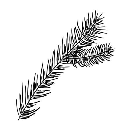 Hand drawn pine branches for creation of your own design for Christmas or New year. Vector, illustration.のイラスト素材