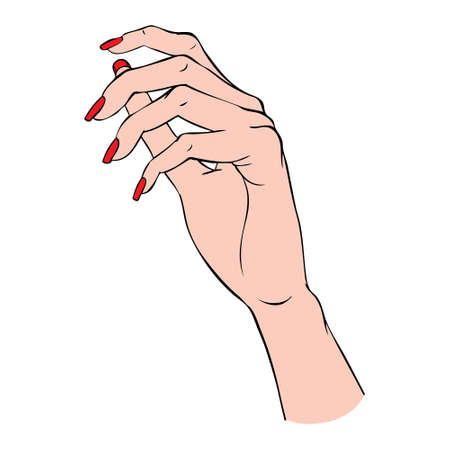 Woman hands with elegant manicure and polished nails. Nails art salon vector illustration.のイラスト素材