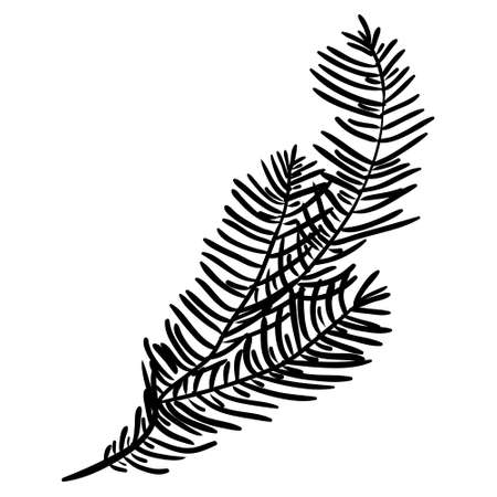 Hand drawn pine branches for creation of your own design for Christmas or New year. Vector, illustration.のイラスト素材