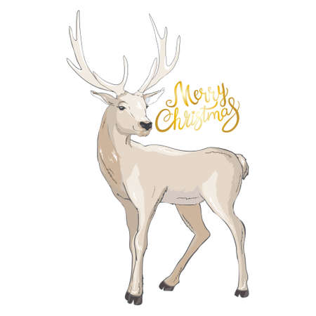 Deer with Christmas balls on the horns. Christmas card with a deer and letters. Cute winter poster, Christmas card, banner, sticker, gift tagのイラスト素材