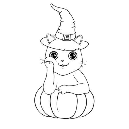Cat is sitting on the pumpkin isolated on white. Vector illustration. Perfect for coloring book, greeting card, print.のイラスト素材