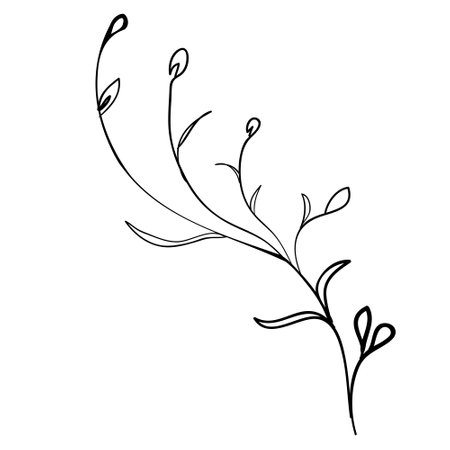 Sketch branch of leaves by hand on an isolated background. Vector, illustrationのイラスト素材