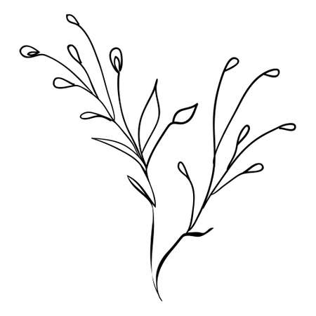 Sketch branch of leaves by hand on an isolated background. Vector, illustrationのイラスト素材