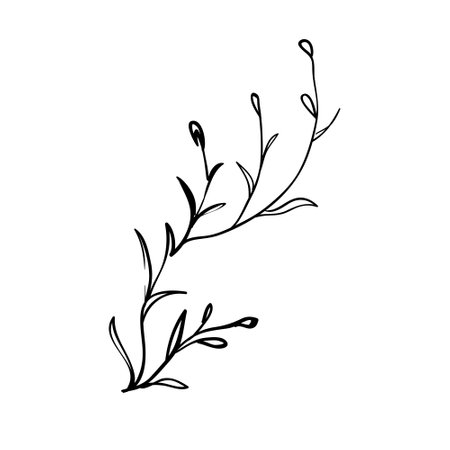 Sketch branch of leaves by hand on an isolated background. Vector, illustrationのイラスト素材