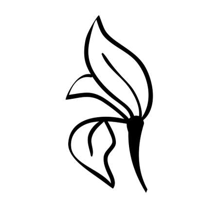 Sketch branch of leaves by hand on an isolated background. Vector, illustrationのイラスト素材