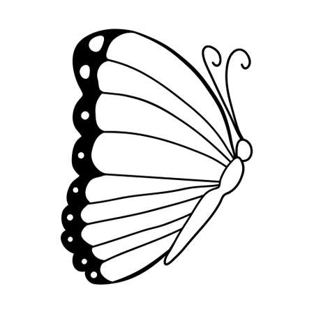 Big cute butterfly. Freehand linear black ink hand drawn logo in art retro scribble design style pen on paper.のイラスト素材