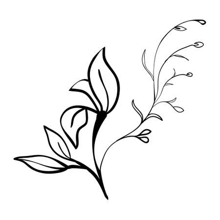 Sketch branch of leaves by hand on an isolated background. Vector, illustrationのイラスト素材