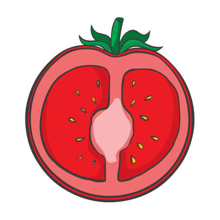 Tomato icon in flat style. isolated object.  Vegetable from the farm. organic food. vector illustration.のイラスト素材