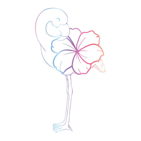 Sketch drawing of flamingo bird vector illustration isolated on white backgroundのイラスト素材