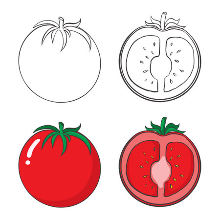 set of tomatoes. A whole tomato, cut into a tomato. Vector illustration in a flat styleのイラスト素材