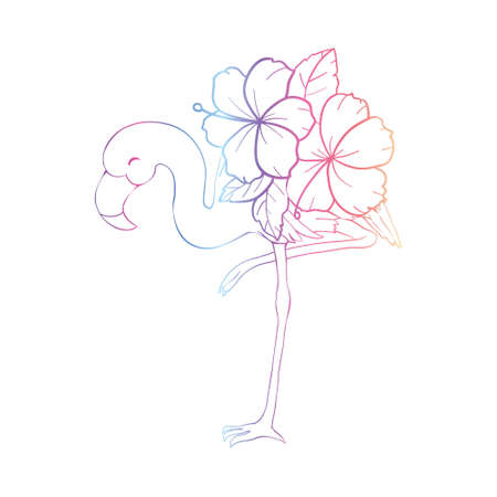 Sketch drawing of flamingo bird vector illustration isolated on white backgroundのイラスト素材