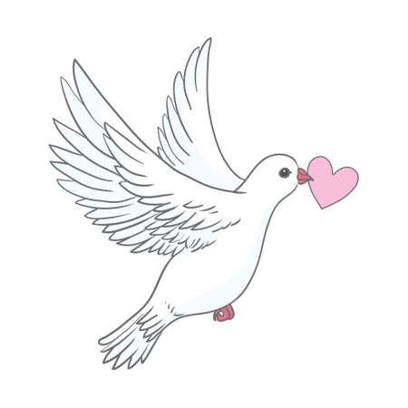 Dove with a heart. Symmetrical composition with two white pigeons. Vintage vector illustration for banners and postcards.のイラスト素材