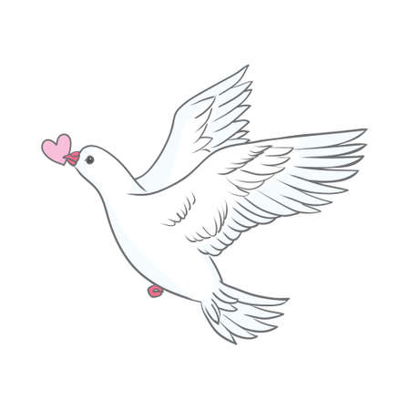 Dove with a heart. Symmetrical composition with two white pigeons. Vintage vector illustration for banners and postcards.のイラスト素材