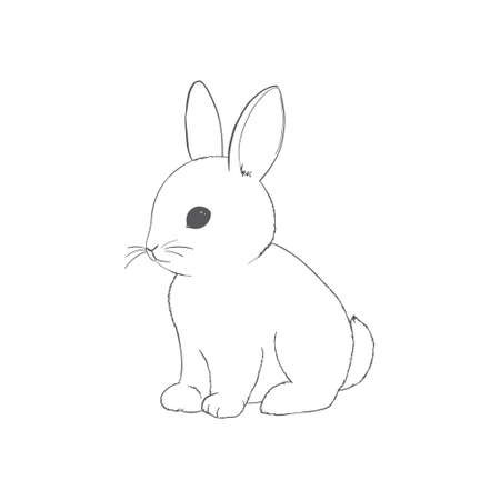 sketch of a cute rabbit black and white, hand-drawn on a white background. vector illustrations.のイラスト素材