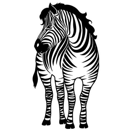African zebra running side view outline striped silhouette animal design flat vector illustration isolated on white backgroundのイラスト素材