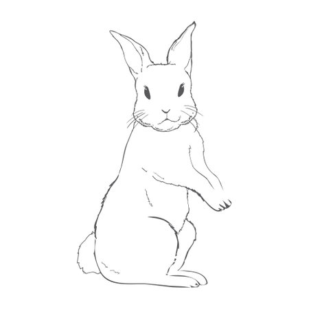 sketch of a cute rabbit black and white, hand-drawn on a white background. vector illustrations.のイラスト素材