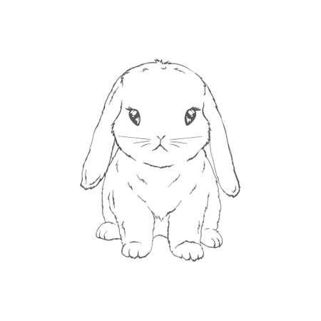 sketch of a cute rabbit black and white, hand-drawn on a white background. vector illustrations.のイラスト素材