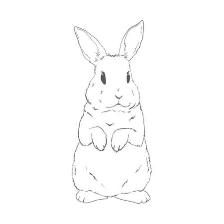 sketch of a cute rabbit black and white, hand-drawn on a white background. vector illustrations.のイラスト素材