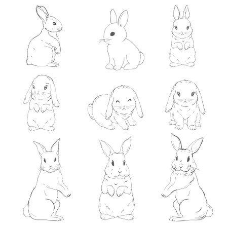 Set sketch of a cute rabbit black and white, hand-drawn on a white background. vector illustrations.のイラスト素材