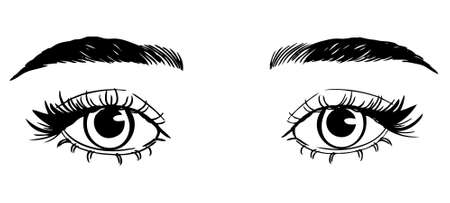 Beautiful woman eyes black and white drawing sketch. vector fashion illustration.のイラスト素材