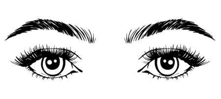 Beautiful woman eyes black and white drawing sketch. vector fashion illustration.のイラスト素材