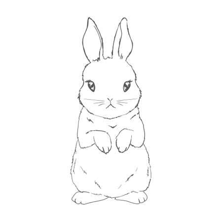 sketch of a cute rabbit black and white, hand-drawn on a white background. vector illustrations.のイラスト素材