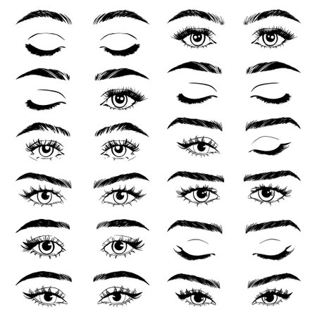 Illustration with woman's eyes, eyelashes and eyebrows. make-up look. tattoo designs. Logo for brow bar or lash salon.のイラスト素材