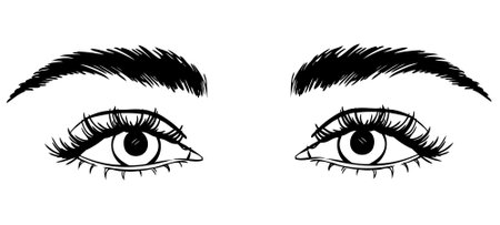 Beautiful woman eyes black and white drawing sketch. vector fashion illustration.のイラスト素材
