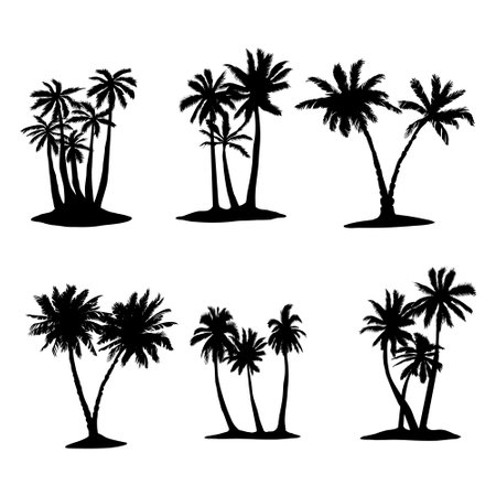 Coconut tree palm set icon in vector hand drawn style isolated on white backgroundのイラスト素材