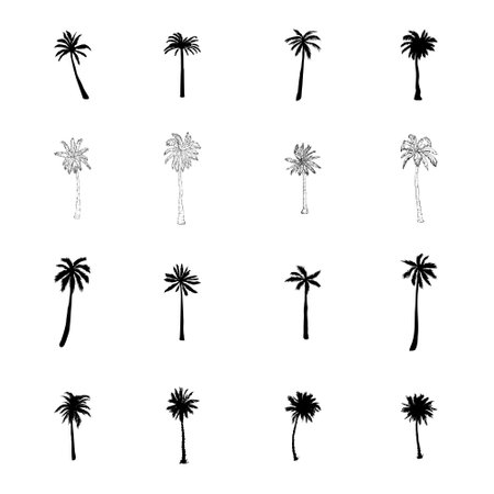 Coconut tree palm set icon in vector hand drawn style isolated on white backgroundのイラスト素材