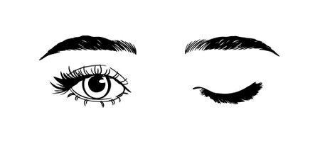 Beautiful woman eyes black and white drawing sketch. vector fashion illustration.のイラスト素材