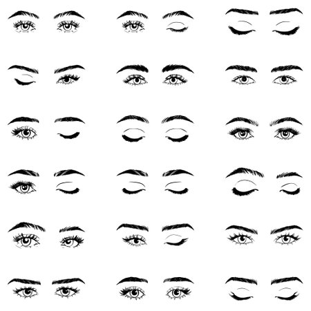 Illustration with woman's eyes, eyelashes and eyebrows. make-up look. tattoo designs. Logo for brow bar or lash salon.のイラスト素材