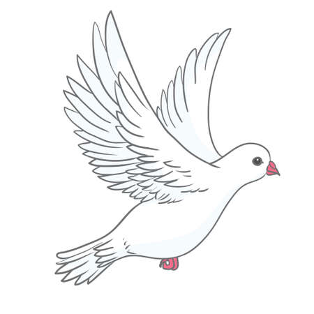 Pigeon vector character color flat illustration pigeon imageのイラスト素材
